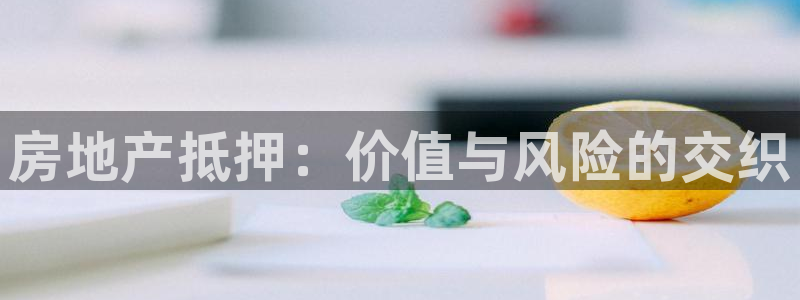 新宝5手机平台登陆：房地产抵押：价值与风险的交织