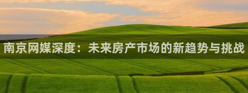 股票5G宝新：南京网媒深度：未来房产市场的新趋势与挑战