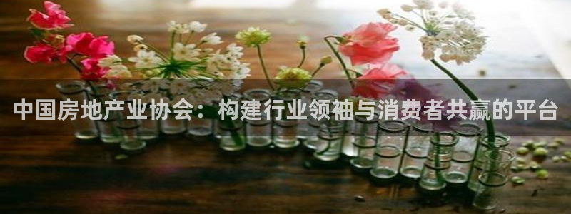 新宝5下载官方：中国房地产业协会：构建行业领袖与消费者共赢的