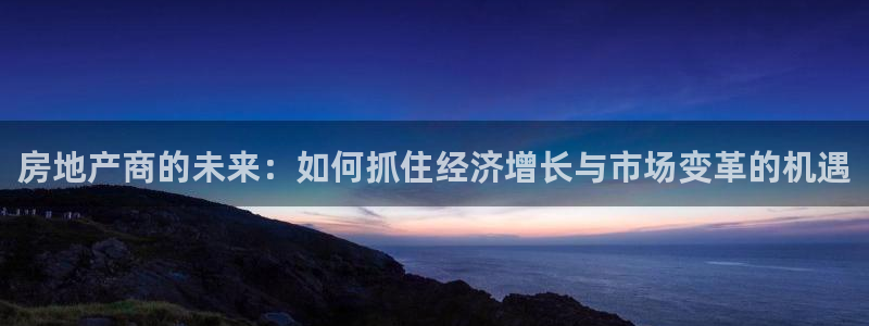 皇冠新宝5：房地产商的未来：如何抓住经济增长与市场变革的机遇