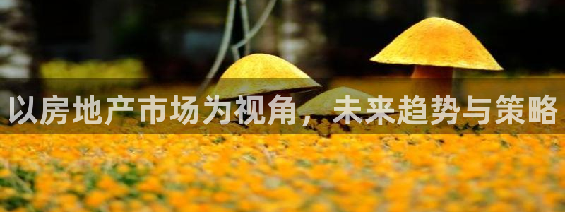 新宝5注册账号：以房地产市场为视角，未来趋势与策略