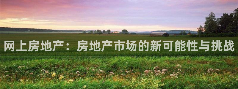新宝5官网霸：网上房地产：房地产市场的新可能性与挑战