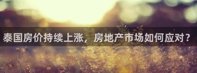 新宝5手机版登录：泰国房价持续上涨，房地产市场如何应对？