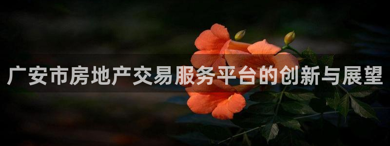有人知道新宝5么