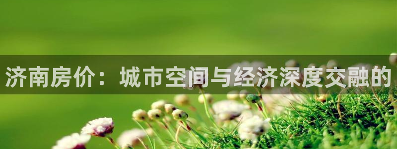 新宝5娱乐没