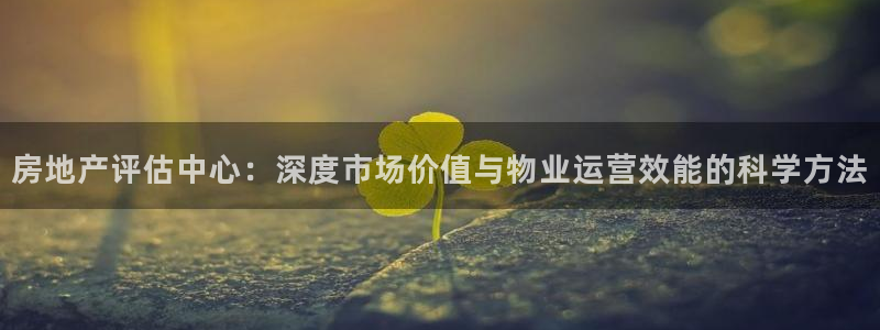 新宝娱乐5入口：房地产评估中心：深度市场价值与物业运营效能的