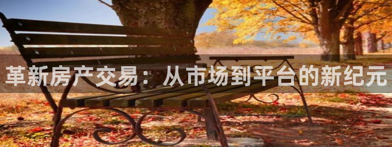 新宝5怎么代理：革新房产交易：从市场到平台的新纪元