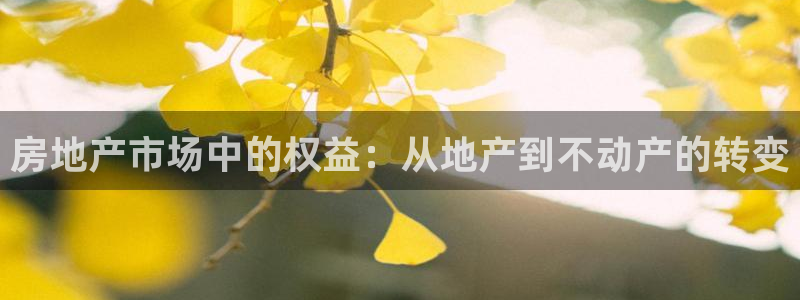 新宝5褚32OO59：房地产市场中的权益：从地产到不动产的转