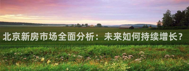 皇冠新宝5：北京新房市场全面分析：未来如何持续增长？