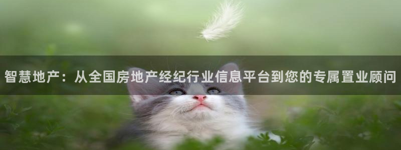 新宝5手机登陆：智慧地产：从全国房地产经纪行业信息平台到您的