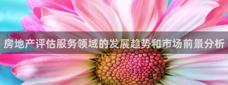 新宝5娱乐都：房地产评估服务领域的发展趋势和市场前景分析