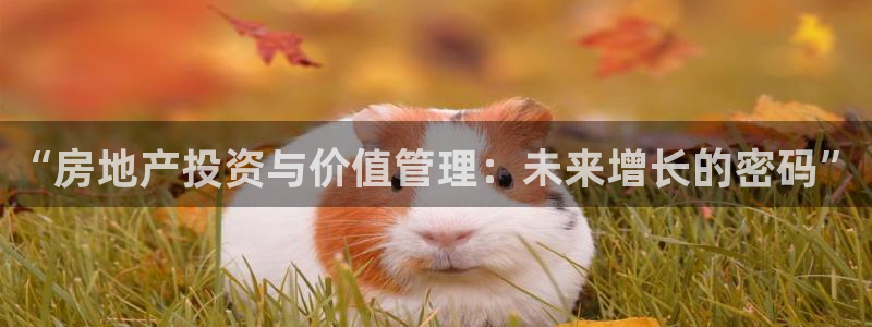 新宝5代理注册：“房地产投资与价值管理：未来增长的密码”