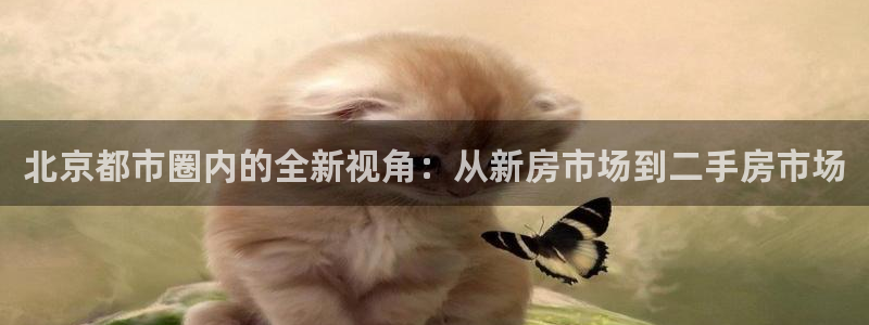 菲律宾新宝5老板：北京都市圈内的全新视角：从新房市场到二手房