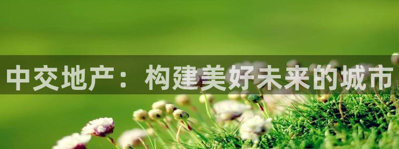 新宝5手机登录：中交地产：构建美好未来的城市