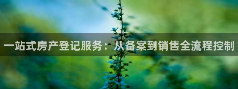 新宝5-测速：一站式房产登记服务：从备案到销售全流程控制
