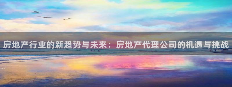 新宝5娱乐没：房地产行业的新趋势与未来：房地产代理公司的机遇