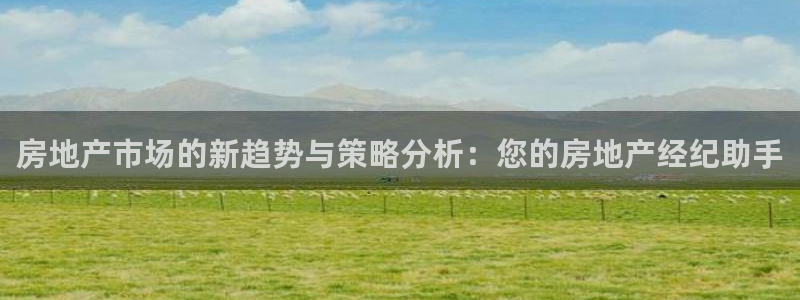 新宝5测速登陆：房地产市场的新趋势与策略分析：您的房地产经纪