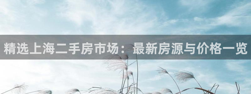 新宝5如何注册登录：精选上海二手房市场：最新房源与价格一览