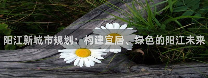 新宝5手机版：阳江新城市规划：构建宜居、绿色的阳江未来