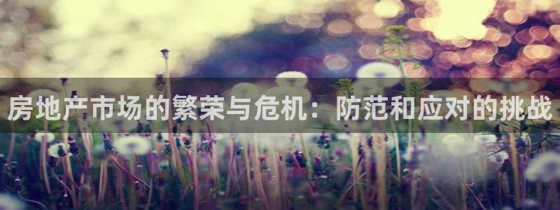 新宝 5测速：房地产市场的繁荣与危机：防范和应对的挑战