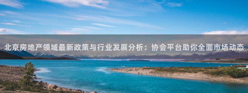 新宝5首页：北京房地产领域最新政策与行业发展分析：协会平台助