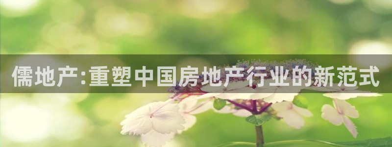 5新宝：儒地产:重塑中国房地产行业的新范式