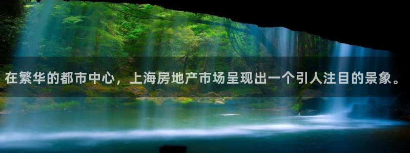 新宝5-：在繁华的都市中心，上海房地产市场呈现出一个引人注目