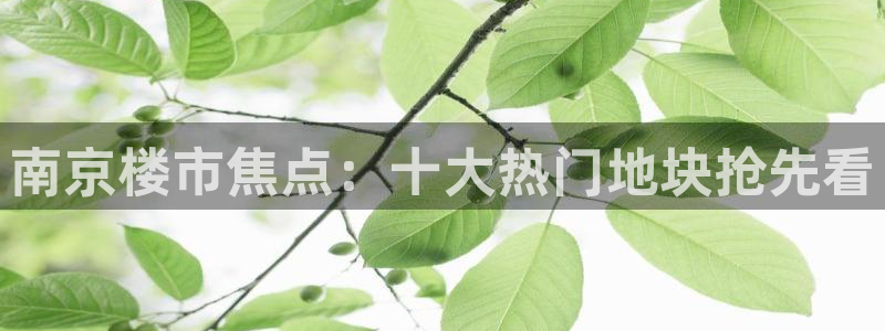 新宝5：南京楼市焦点：十大热门地块抢先看