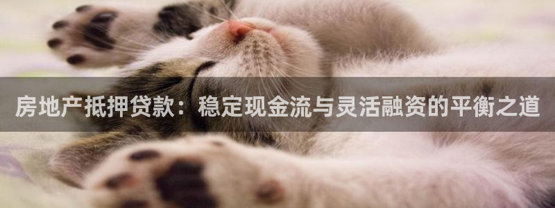 新宝m2O5O5O：房地产抵押贷款：稳定现金流与灵活融资的平