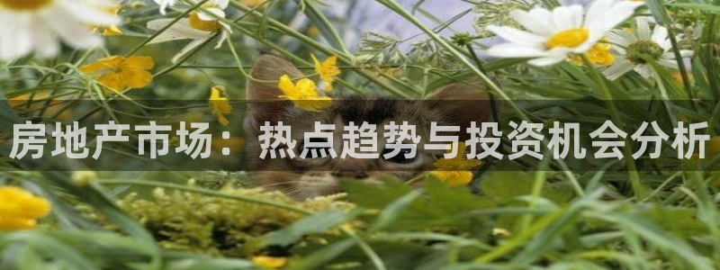 新宝5娱乐同：房地产市场：热点趋势与投资机会分析