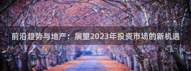 新宝5上70 667：前沿趋势与地产：展望2023年投资市场