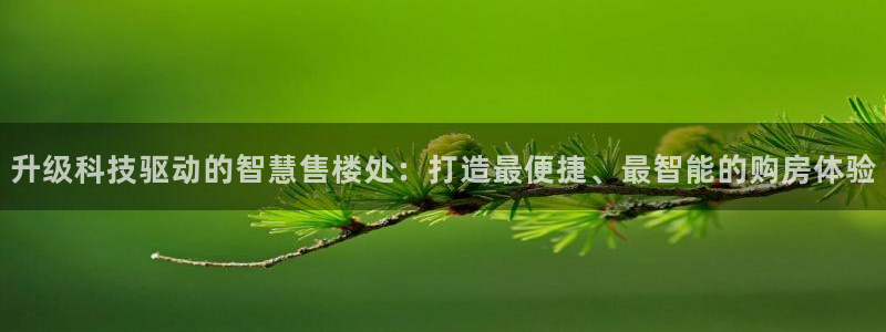 新宝5链接：升级科技驱动的智慧售楼处：打造最便捷、最智能的购