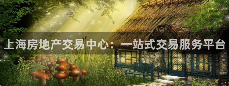 新宝rc_5w：上海房地产交易中心：一站式交易服务平台