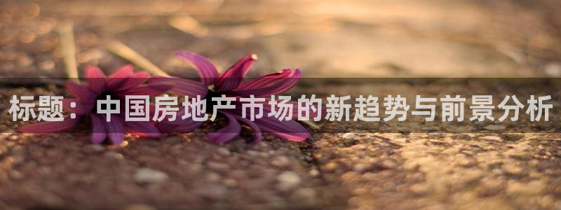 新宝m2O5O5O：标题：中国房地产市场的新趋势与前景分析