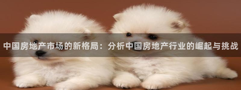 新宝5网站：中国房地产市场的新格局：分析中国房地产行业的崛起