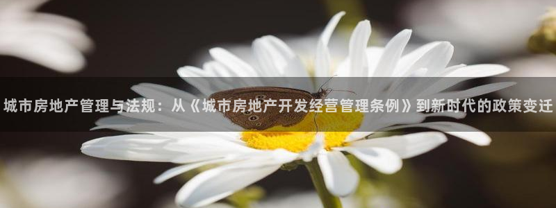 新宝5下载测试：城市房地产管理与法规：从《城市房地产开发经营