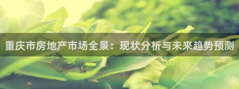 新宝m2O5O5O：重庆市房地产市场全景：现状分析与未来趋势