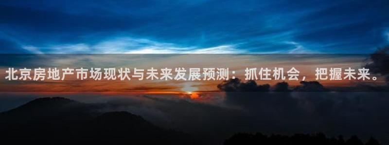 新宝那2O5O5O：北京房地产市场现状与未来发展预测：抓住机