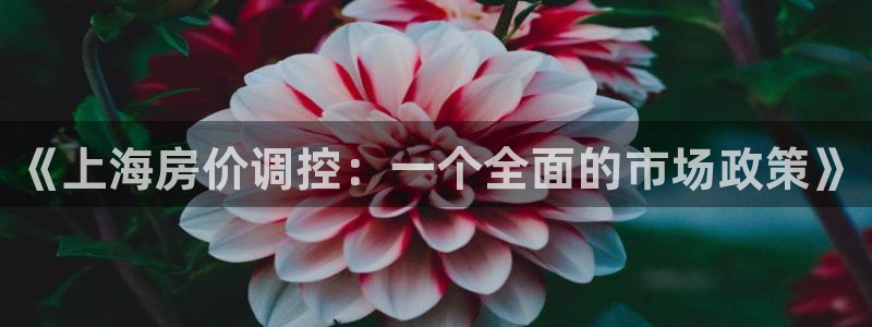 新宝5蒋7O667