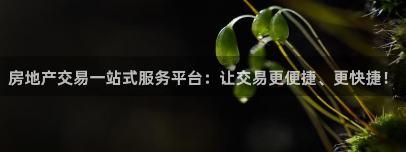 新宝5注册测速登录：房地产交易一站式服务平台：让交易更便捷、