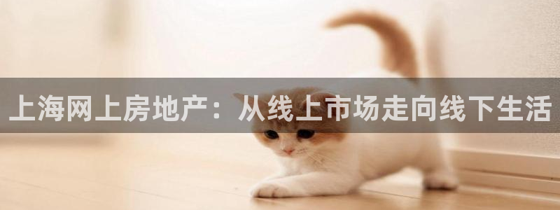 新宝5入口：上海网上房地产：从线上市场走向线下生活
