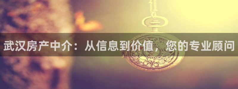 新宝5官方下载地址：武汉房产中介：从信息到价值，您的专业顾问