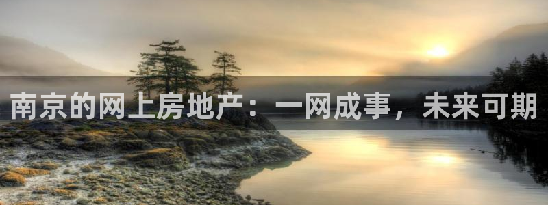 新宝5软件下载：南京的网上房地产：一网成事，未来可期