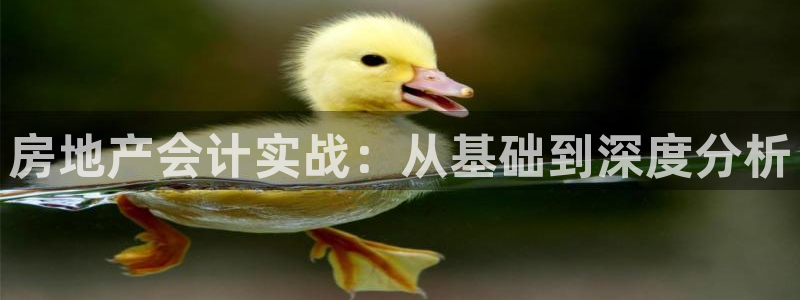新宝股东王听2 5 5：房地产会计实战：从基础到深度分析