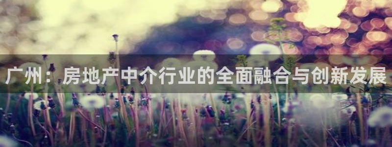 新宝5招商部：广州：房地产中介行业的全面融合与创新发展