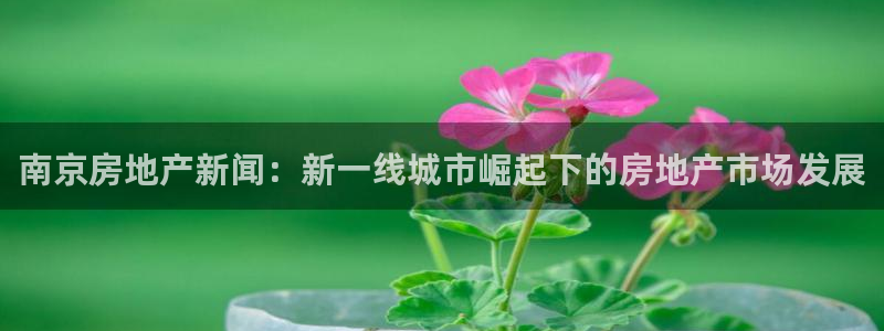 新宝5官方：南京房地产新闻：新一线城市崛起下的房地产市场发展