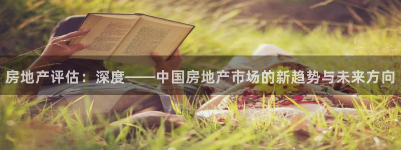 新宝测速5：房地产评估：深度——中国房地产市场的新趋势与未来
