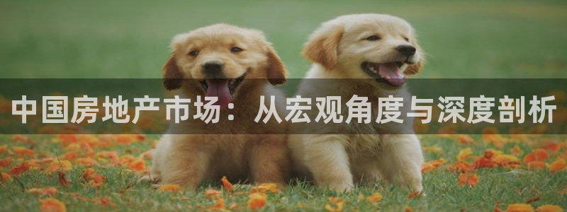 皇冠新宝5：中国房地产市场：从宏观角度与深度剖析