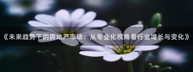 新宝5注册平台：《未来趋势下的房地产市场：从专业化视角看行业