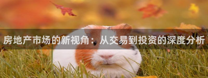 新宝5下载注册：房地产市场的新视角：从交易到投资的深度分析